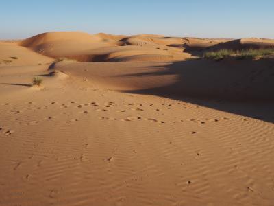 In der W&uuml;ste - so wundersch&ouml;n